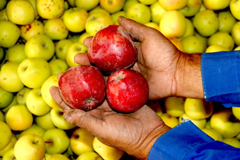 Is apple cider vinegar good for you?
