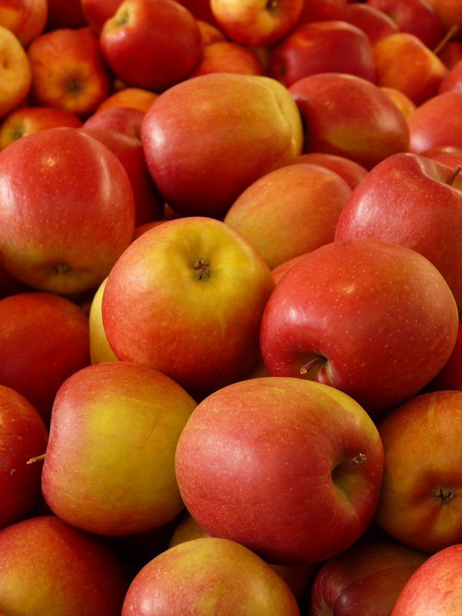 OVERVIEW GLOBAL APPLE MARKET- January 2019