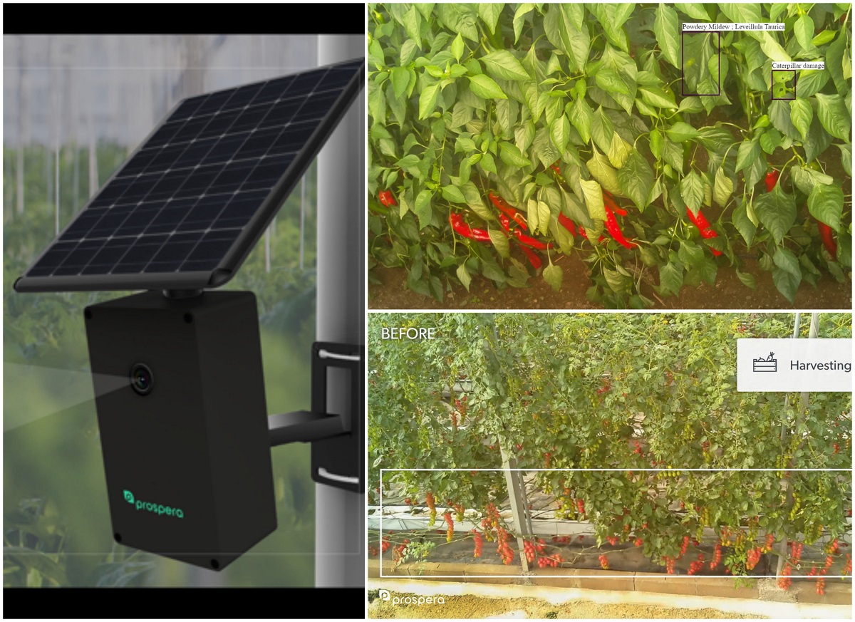 4 Ways Artificial Intelligence Will Drive Digital Transformation In Agriculture