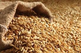 With the Help of Ancient Grains, Gluten Free Beer is Saving the Environment and Local Farmers