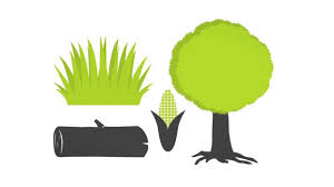 Smaller farmer’s fields can reduce biodiversity loss-
