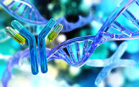Functional Foods &amp; Biotechnology