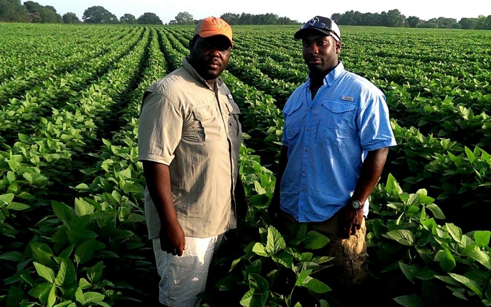 There are 2 million hectares of state farmland sitting idle for black owners
