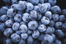 22% of Chile’s Season to Date blueberry shipments to US are organic”