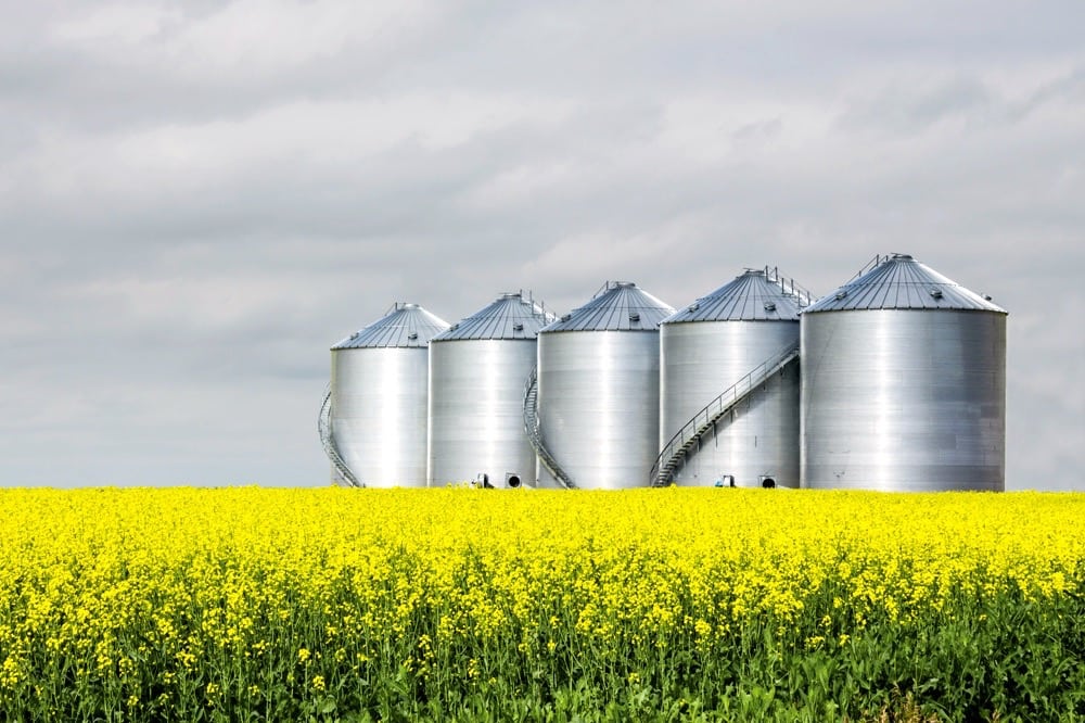 3 myths and misconceptions about GMO crops