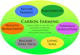 Carbon leakage devastating for European agriculture"