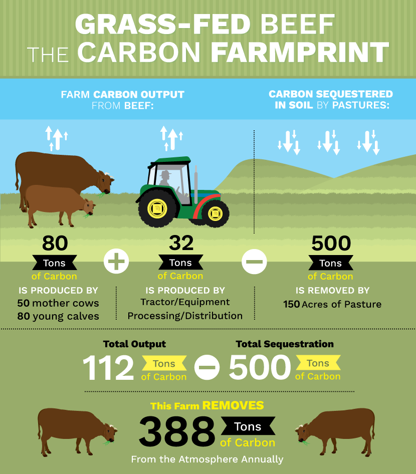 Soil carbon market could grow quickly globally