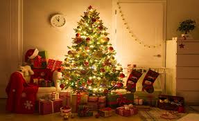 Christmas Begins on the Farm