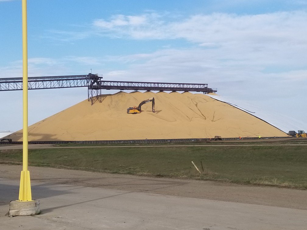 Agri commodity prices: what to expect over the next 10 years- South Africa
