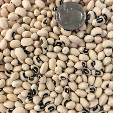 Genetically modified cowpea clears its first hurdle in Ghana, but there’s a long way to g