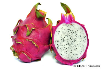 Pioneering South African dragon fruit venture builds momentum