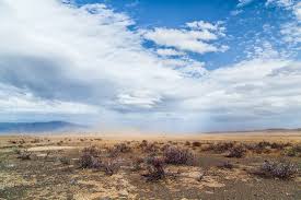 Heatwaves and Drought in South Africa: The Human and Environmental Toll