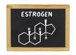 Could You Be Eating Too Much Estrogen?