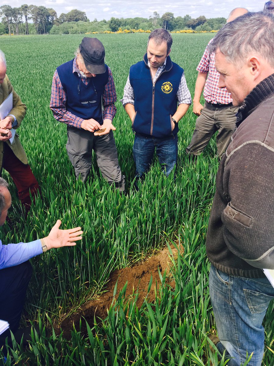Breakthrough in plant engineering could boost productivity, feed millions more