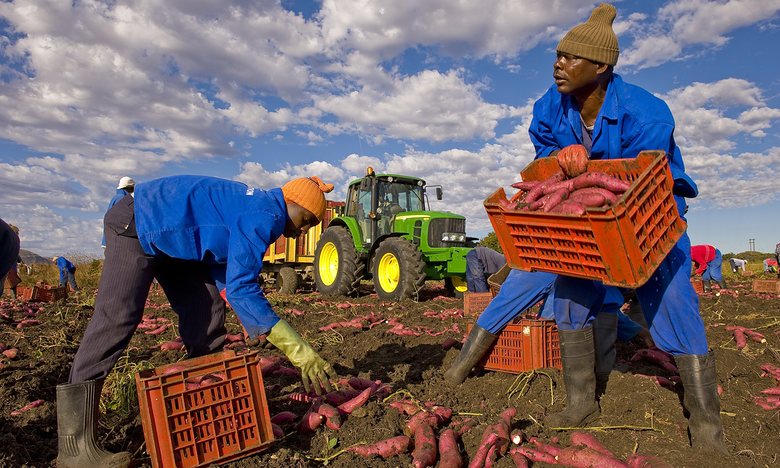 South Africa’s small-scale farmers still can’t find a place in the food value chain