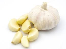 OVERVIEW GLOBAL GARLIC MARKET