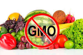 GMOs and genetic engineering are wildly misunderstood