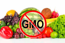Are Genetically Engineered Foods Leading to Gluten Sensitivity?