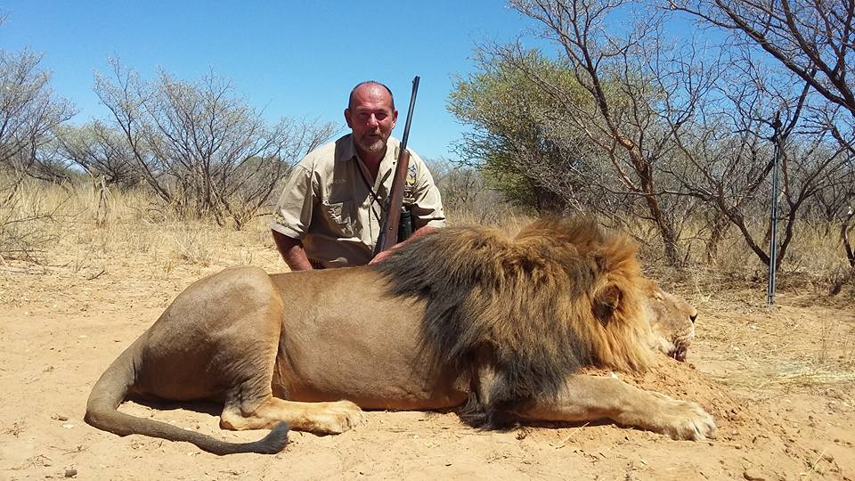 GEBLIKTE LEEUJAG SE DAE IS AMPER GETEL. SUID AFRIKA