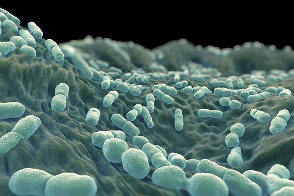 What Is Listeria—and How Dangerous Is It Really?