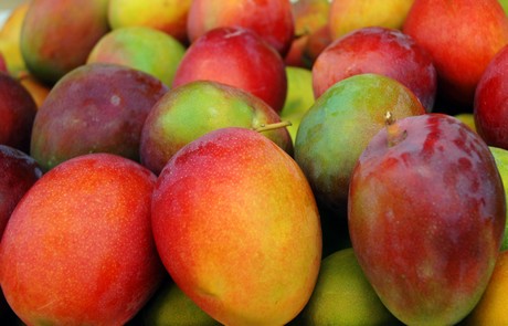 Low-hanging fruit in South Africa’s agriculture sector