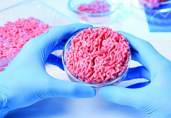 New Harvest 2019: Envisioning a food system built around cells, not animals 