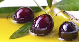 Global Olive oil market: China and Japan emerge as fastest growing importers