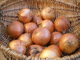 GLOBAL OVERVIEW ONIONS- July 2021 