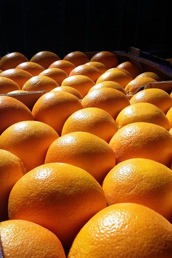 OVERVIEW GLOBAL ORANGE MARKET - March 2019