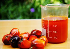 The palm oil paradox: What Asia can learn from Gabon