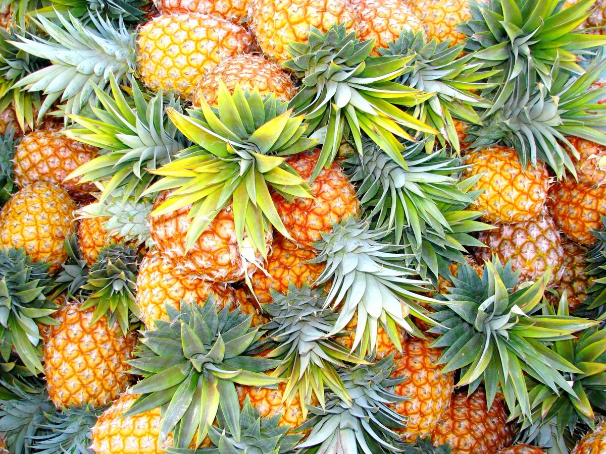 OVERVIEW GLOBAL PINEAPPLE MARKET- May 2019