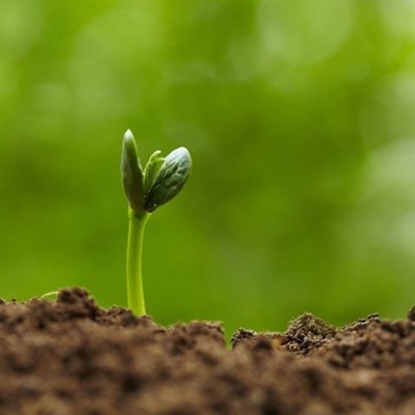 Farmers should be concerned about attacks on science