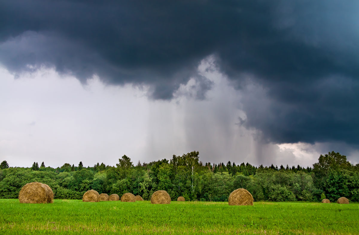 The quest to figure out the origin of rain: weather in digital worlds