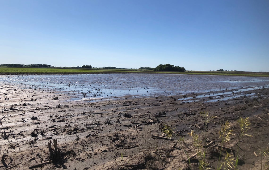 America's corn belt farmers face uncertainty after rain … and more rain