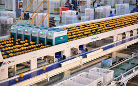 "Smart robots increase value of fresh fruits and vegetables"