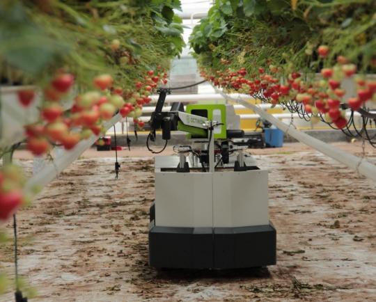 How to (effectively) prepare for the arrival of a robot on your farm
