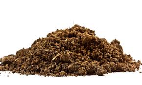 When it Comes to Soil Testing, We’ve Only Scratched the Surface