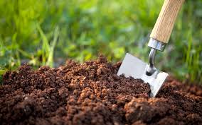 Investing in soil health- 
