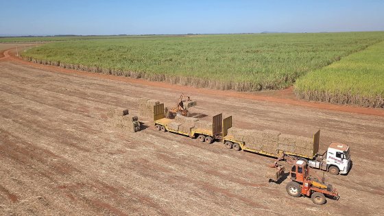 Harvesting sugar cane more efficiently with AI and IoT