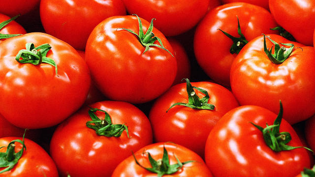 Organic Concentrated Tomatoes to Witness Highest Demand Growth in the Next 10 Years