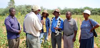 South Africa risks losing rich insights into an ancient farming society