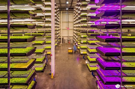 Turn Africa’s cities into vertical farms