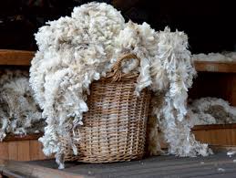 South Africa wool prices to improve as export ban is lifted- AGRI TRENDS