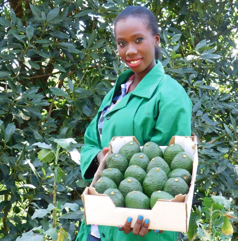  Empowering Africa’s women farmers- New release