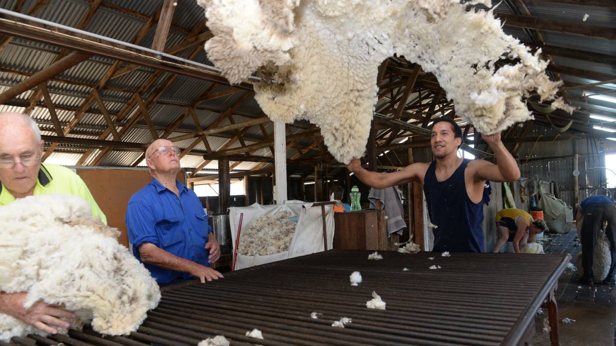 Agritourism exemplified in the South African wool industry