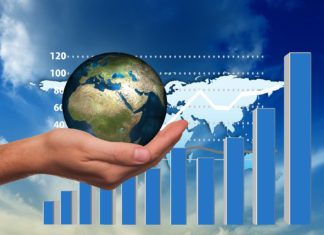 Understanding South Africa’s agriculture trade patterns in 2020