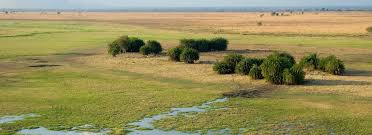 Zambia could become a successful investment destination for agribusinesses