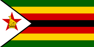 The fight for land justice in Zimbabwe, South Africa, and across the Global South is not just a local struggle – it is a global one