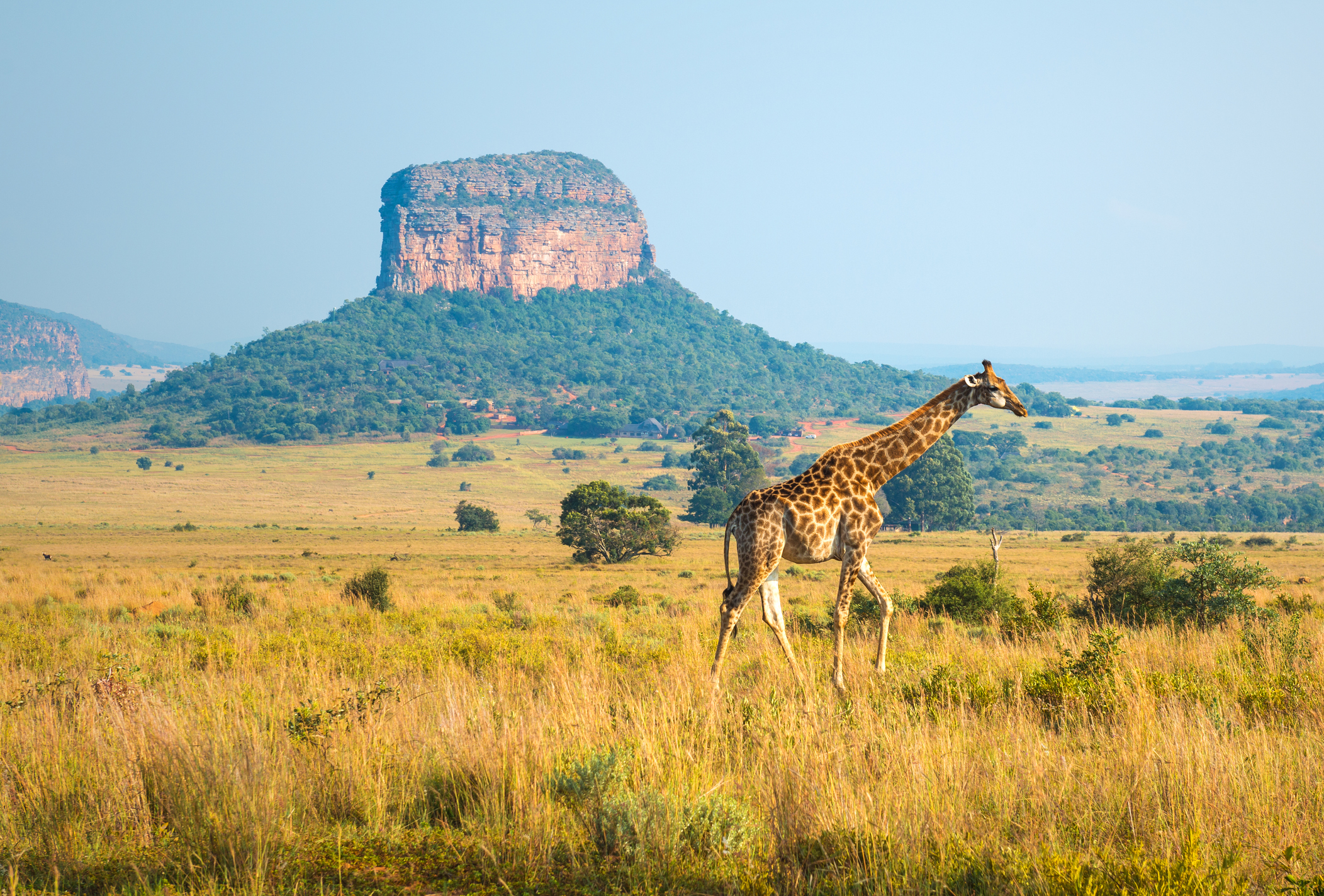 We Never Expected South Africa to Look Like This in 2025 — 40 Years Later