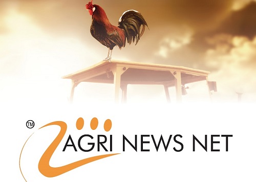South Africa -Weeklikse Landbou Nuusoorsig -  Weekly Agriculture News Summary 14th December 2022 